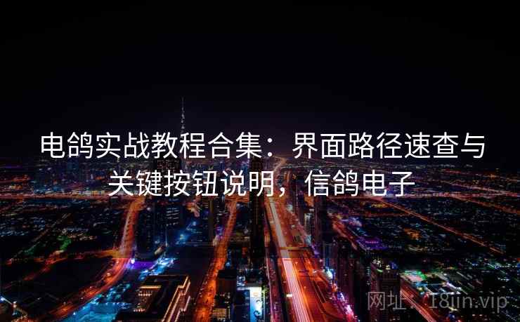 电鸽实战教程合集:界面路径速查与关键按钮说明,信鸽电子 电鸽实战教程合集:界面路径速查与关键按钮说明,信鸽电子