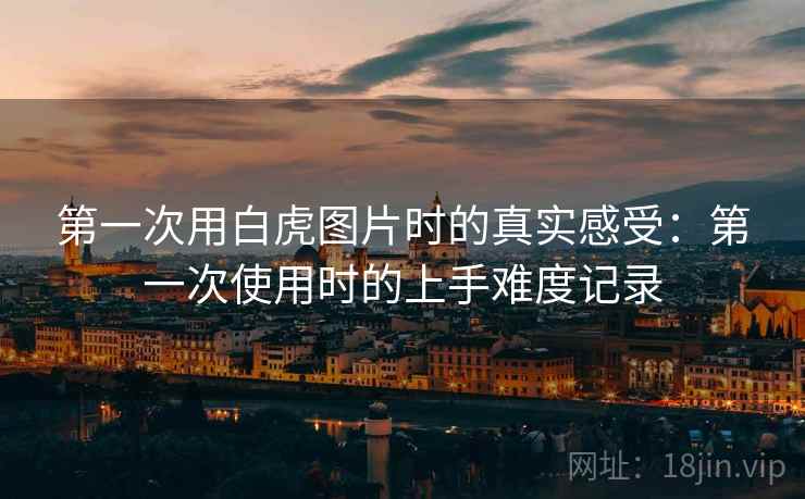 第一次用白虎图片时的真实感受:第一次使用时的上手难度记录 第一次用白虎图片时的真实感受:第一次使用时的上手难度记录