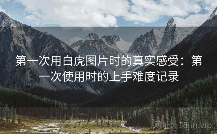 第一次用白虎图片时的真实感受:第一次使用时的上手难度记录 第一次用白虎图片时的真实感受:第一次使用时的上手难度记录